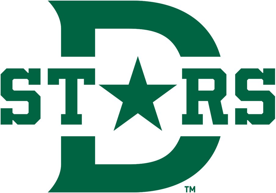 Dallas Stars 2020 Special Event Logo iron on heat transfer